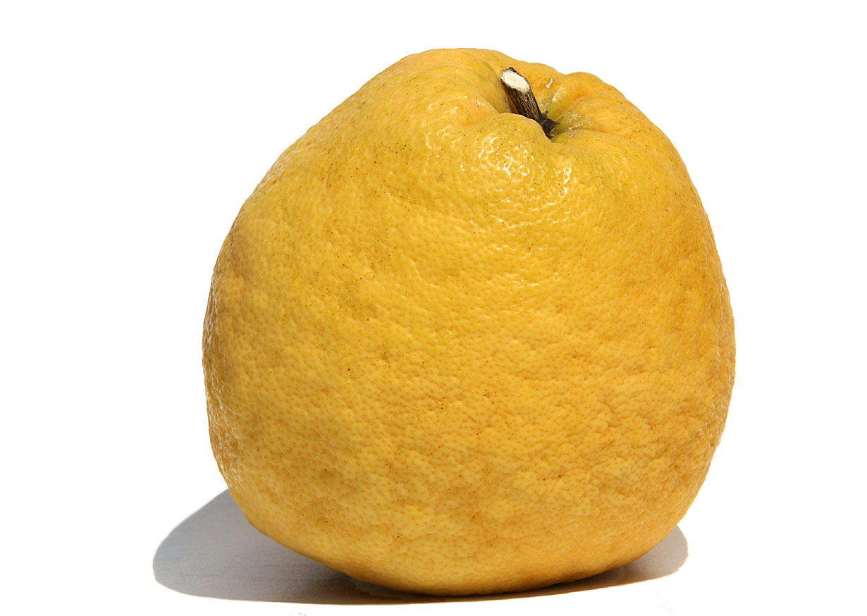 Kawachi Bankan fruit